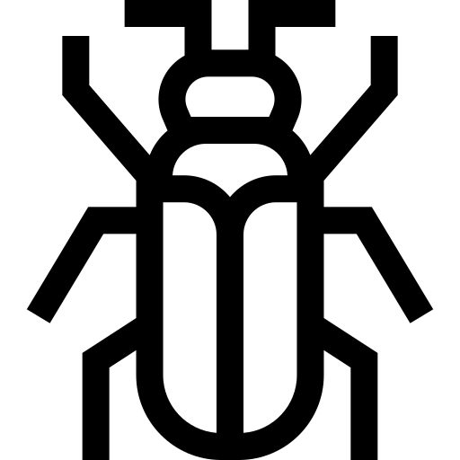 Lyctus