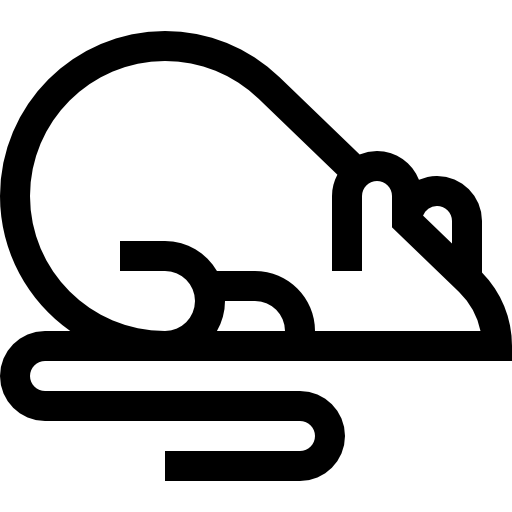 Dératisation